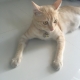 pearomm's avatar