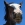 demovslive avatar